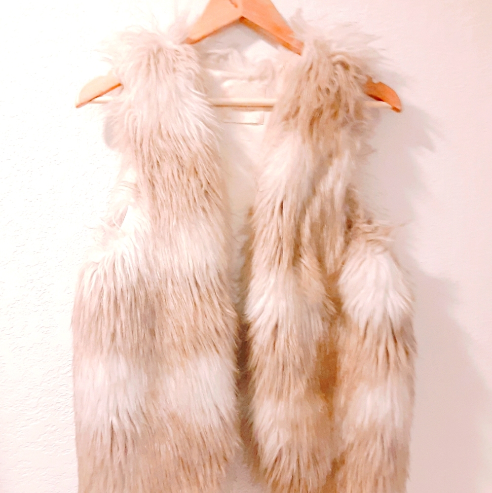 Altar'd State Groovy Faux Fur Sleeveless Jacket